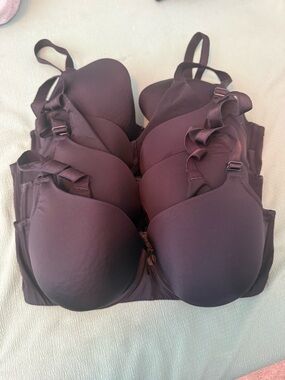 torrid Black Smooth T-Shirt Bra - Set of 4